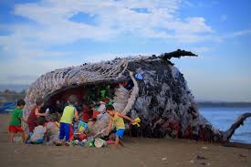 Dead Whale Of The Philippines Reminds Us That Ocean Pollution Is Getting Out Of Control Ocean Pollution Pollution Marine Pollution