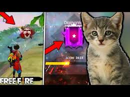 Recoge armas, recursos y utiliza vehículos para explorar el mapa. Mi Gato Juega Free Fire Y Me Sube A Diamante L Este Gato Es Mas Pro Que Tu En Free Fire Youtube