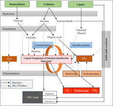 Turism si sanatate baza de tratament. Regimes Of Hydrochar Yield From Hydrothermal Degradation Of Various Lignocellulosic Biomass A Review Sciencedirect
