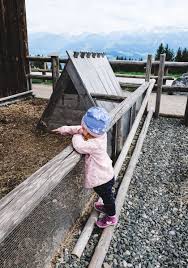 Familienurlaub Im Familotel Allgauer Berghof Erfahrungen Familien Urlaub Familienurlaub Urlaub
