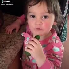 @firstwefeast's video Tweet