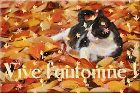 Résultat de recherche d'images pour "images gifs automne"