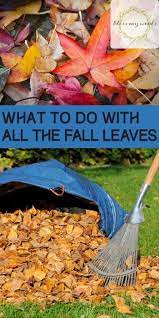 What To Do With All The Fall Leaves Bless My Weeds Fall Clean Up Compost Autumn Leaves