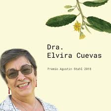 Instituto del Karso de Puerto Rico y el Caribe