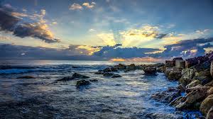 We did not find results for: Things Warm Up As The East Australian Current Heads South