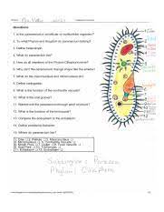 Contractile vacuole to control water levels inside the euglena. Launching Euglena Coloring Page Apologia Biology Experiments 3 2 Pottervilla Academics If S Eater Id Ksk 3 Parameciumcoloring Questions 1 Is The Course Hero