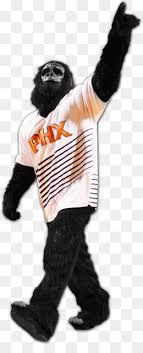 Cheerleading mascot costumes and more. Phoenix Suns Png And Phoenix Suns Transparent Clipart Free Download Cleanpng Kisspng