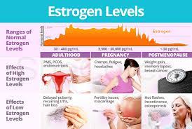 Estrogen Levels | Shecares
