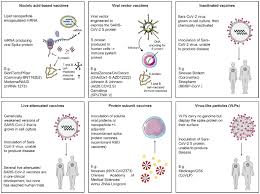 Maybe you would like to learn more about one of these? Sars Cov 2 Vaccines For Cancer Patients A Call To Action European Journal Of Cancer
