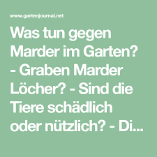 Pin Auf Garten
