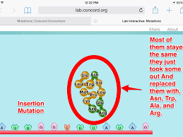 If you need to review the mutation guide, open it up at any time by clicking the mutation guide button in the lower left hand portion of the page. Dna Mutation Simulation Shefalitayal