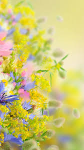 We have a massive amount of desktop and mobile backgrounds. 12 Wallpaper Nature Flowers For Mobile Basty Wallpaper