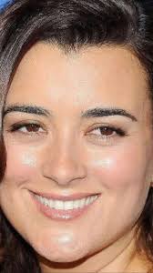 Mark Harmon Returns to NCIS