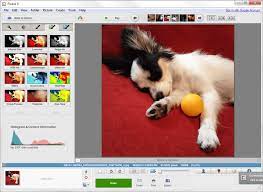 Whose function is to allow the user view and organize the pictures in his/her pc. Picasa Download