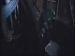 Hiding in the city's canals and alleyways, the boys are befriended by a bunch of urchins and their leader, the thief lord. Thief Lord Trailer Youtube