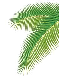 We did not find results for: White Porcelain Green Palm Leaves And Gold Pattern Palm Leaves Palm Tree Leaves Leaves