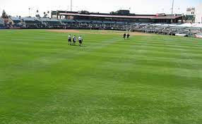 With a dense, rapidly spreading growth habit and quick recovery from injury, tifway. Tifway 419 Bermuda Nimmer Turf Farm