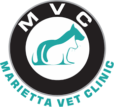 Provocative or palliative what causes the symptom? Acute Renal Kidney Failure Marietta Vet Clinic