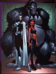 Dr Light Cheetah And Grodd Villains United Villain Character American Comics Super Villains