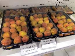 Trước đó, bộ công thương đề nghị các tỉnh có đường biên giới trao đổi với phía trung quốc tạo điều kiện thuận lợi, tăng thời gian thông quan với nông sản, nhất là quả vải. Xuáº¥t Kháº©u 50 Táº¥n Váº£i Thiá»u Báº¯c Giang Sang Nháº­t Báº£n Vov Vn