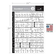 dumbbell exercise poster vol 3 laminated workout strength training chart build muscle tone tighten home gym weight lifting routine body