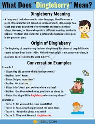Dingleberry Meaning What Does Dingleberry Mean With Useful Examples 7 E S L Slang Words Funny Words Meant To Be