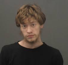 Multiple arrested during search warrant at Webb Court in Ware