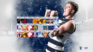 Livable, lasting quality · reliable value · well made, well loved Afl Wallpapers Wallpaper Cave