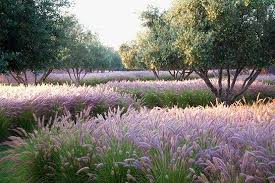 Rooms With A View Landscape Design Garden Landscape Design Beautiful Gardens
