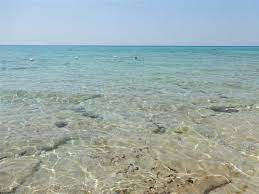 E' situato in condominio distante 100 m dal ma. Il Mare Di Campomarino Picture Of Lido Posto 9 Campomarino Tripadvisor