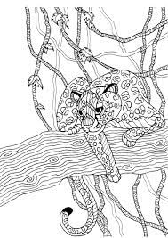 The coloring pages will help your child to focus on details while being relaxed and comfortable. Pin On Animal Coloring Pages For Adults