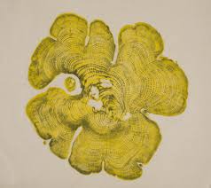 Woodcuts by Bryan Nash Gill