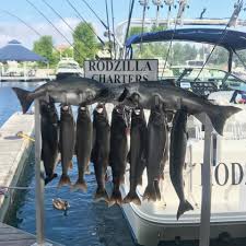 All about michigan fishing for catfish, walleye, crappie, bass, panfish, trout, salmon and other species, plus detailed lake information and a species list per lake. Lake Michigan Fishing Charters The 4 Best On The Big Lake