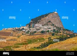 Image result for Sutera debilis