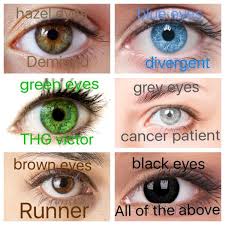 Pin By Ava Chader On Books N Stuff Maze Runner Book Memes Book Fandoms