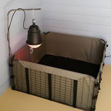Image result for IR heat lamp animals