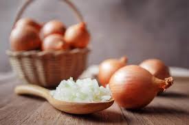 Help My Dog Ate Onions Patchpuppy Com