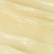 Image result for Egyptian Cream 1983 Hussmann