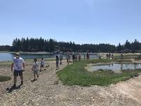 Low Tide Tour
