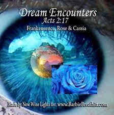 Dream Encounter Anointing Oil Will Prepare You To Receive The Dreams And Visions Of The Christian Dream Interpretation Dreams And Visions Essential Oil Blends