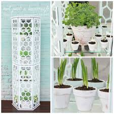 They are also perfect for starting and growing seedlings. Hexagon Greenhouse Stacy Risenmay