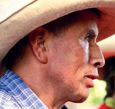 informe anual de gestión 2011