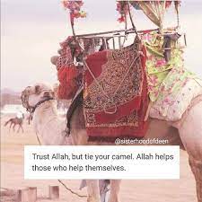And whoever puts their trust in allāh, then he will suffice him. Trust In Allah But Tie Your Camel Islam Is Beautiful Facebook