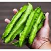 Jul 19, 2021 · resepi udang goreng kacang buncis dikongsikan oleh anna zahraa di laman facebook. Https Encrypted Tbn0 Gstatic Com Images Q Tbn And9gcsszllbgwp3peejqhtspfswx6zj8kjojtw08q Mwmdqfdwfpj93 Usqp Cau