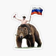 The best gifs are on giphy. Bear Meme Stickers Redbubble