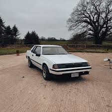 Image result for Gray 1984 Fleet