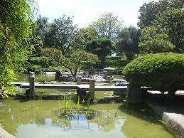 See more of san jose heritage rose garden on facebook. Japanese Friendship Garden San Jose