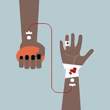 Pin Em Free Vectors