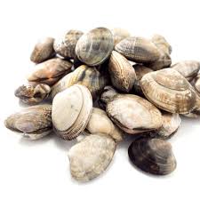 Ormoni che sono di fondamentale importanza per la regolazione del metabolismo corporeo. Disturbi Alla Tiroide Cibi Da Evitare O Da Inserire Nella Dieta Centro Metica