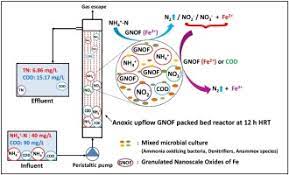 Development Of An Up Flow Anoxic Nano Biotechnological Reactor For Simultaneous Removal Of Ammonia And Cod From Low C N Secondary Treated Wastewater Sciencedirect